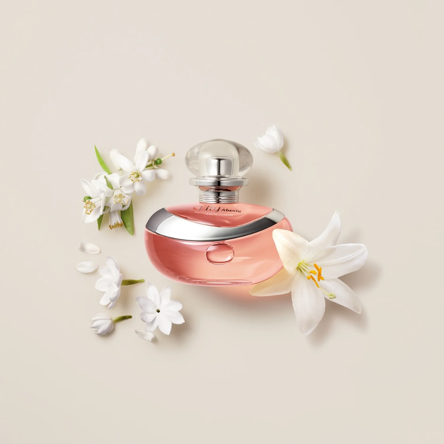 Lily Absolu Eau de Parfum - Image 5