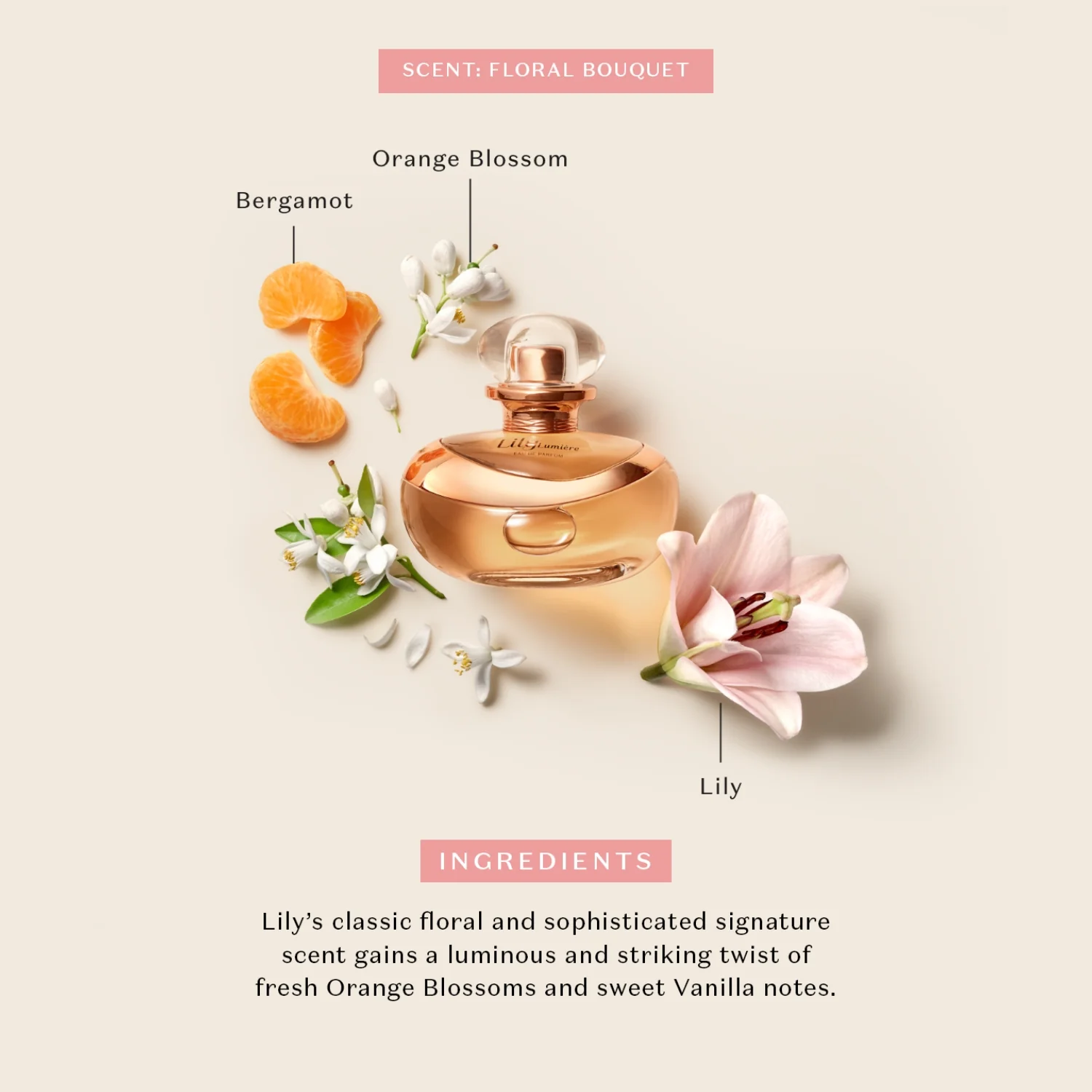 Lily Lumière Eau de Parfum 75ml - Image 4